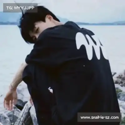 晏清飚